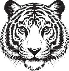 tiger vector illustration