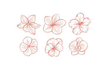 Hand drawn tropical vector flowers, whimsical doodle set