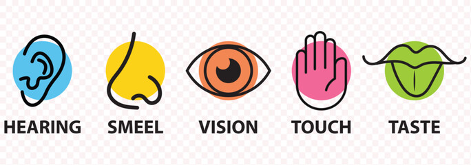 Icon set of five human senses.Vision eye, smell nose, hearing ear, touch hand, taste mouth with tongue. Isolated vector illustration. Poster, banner, web design. Medical reference. Body anatomy study.