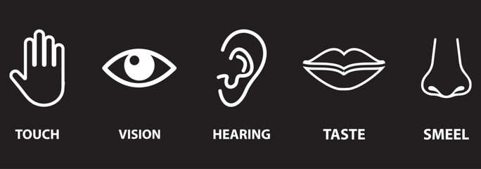 Five Senses line icons Five senses icon, representing the senses: eye (sight), nose (smell), ear (hearing), tongue (taste), and hand (touch) - ideal for web design education.
