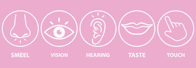 Five Senses line icons Five senses icon, representing the senses: eye (sight), nose (smell), ear (hearing), tongue (taste), and hand (touch) - ideal for web design education.