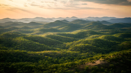 Obraz premium Sunset's Golden Embrace on Rolling Hills