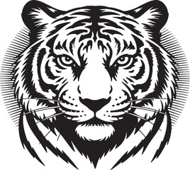 tiger vector illustration