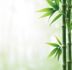 Naklejka premium A close up of a bamboo tree with green leaves on a background