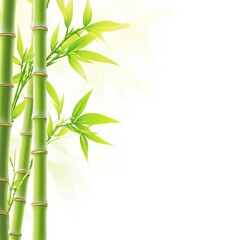 Naklejka premium A close up of a bamboo tree with green leaves on a background
