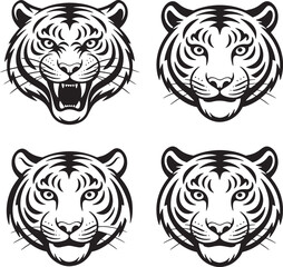 tiger vector illustration
