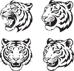 tiger vector illustration