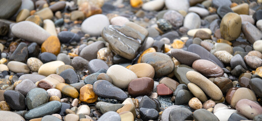 Sea stones