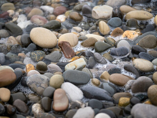 Sea stones