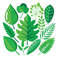 set of green leaf isolated on white background