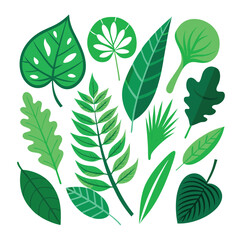 set of green leaf isolated on white background