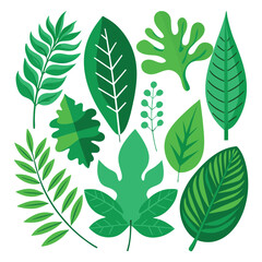 set of green leaf isolated on white background