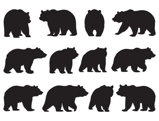 BEAR SILHOUETTE WHITE BACKGROUND