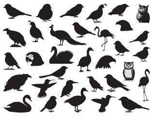 BIRDS SILHOUETTE WHITE BACKGROUND