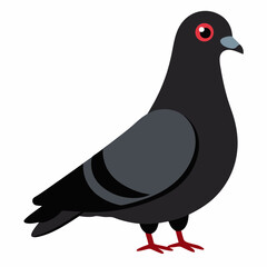 vector illustration of a pigeon