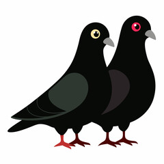 Love pigeons vector art illustration