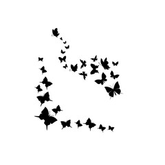 A vibrant butterfly with detailed wings, symbolizing transformation, beauty, freedom, nature, grace, renewal, and delicate elegance.