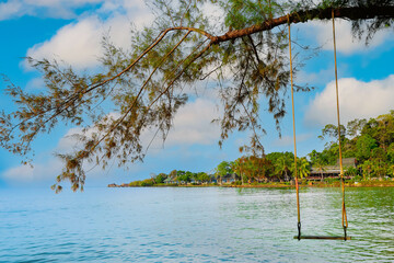 Swing hang from  tree over tropial beach with blue sky