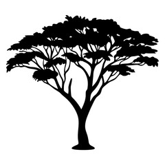 Obraz premium Silhouette of a tree with broad canopy isolated on a white background