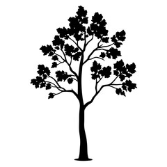 Obraz premium Monochrome Silhouette of Deciduous Tree with Dense Leaf Canopy on White Background