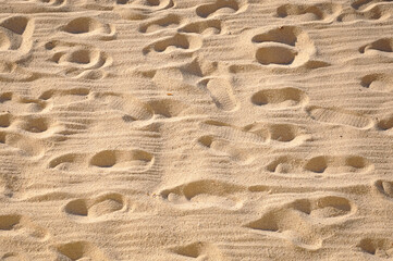 Footprints in sand backgrounds