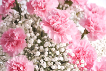 Pink and white flowers