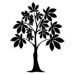 Obraz premium Silhouetted Horse Chestnut Tree with Flowers in Full Bloom on White