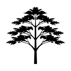 Obraz premium Solitary deciduous tree silhouette with intricate branches on white background illustration