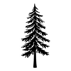 Fototapeta premium Detailed Black Silhouette of a Evergreen Tree on a White Background