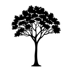 Black and White Tree Silhouette with Dense Canopy and Distinct Branches