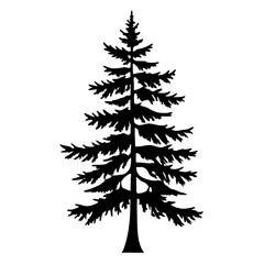 Black silhouette of a mature evergreen tree on a white background
