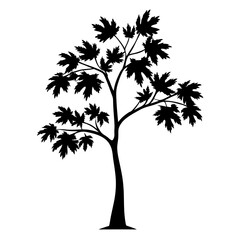 Silhouette of a maple tree with dense foliage against white background