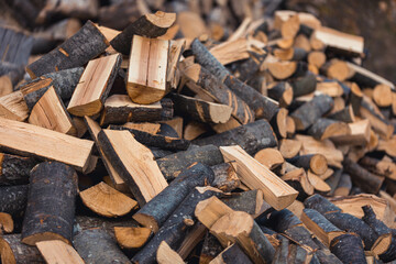 Mountain forest in autumn sunset, trees in warm colors