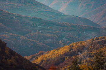 Obraz premium Mountain forest in autumn sunset, trees in warm colors