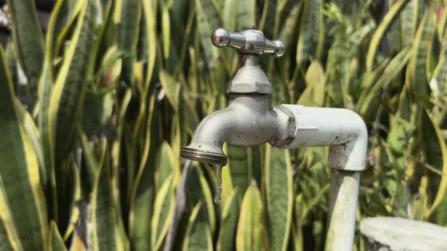 Pila de agua goteando en el campo