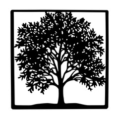Elegant silhouette of a tree within a square border adds a touch of nature