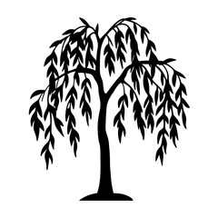 Silhouette of Weeping Willow Tree with Hanging Branches and Leaves on White