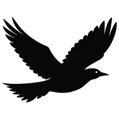 Bird in Flight Captured in High Speed Photo