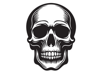 skull head silhouette logo vector, skull logo icon silhouette, human skull death silhouette vector, black human skull head silhouette vector illustration on white background