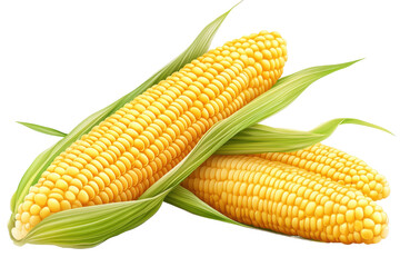 Corn isolated on transparent background