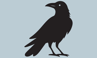 crow on a white background