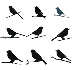 set of birds