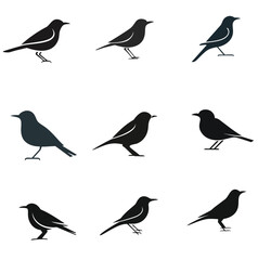 set of birds silhouettes