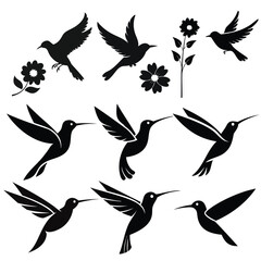 set of vector birds