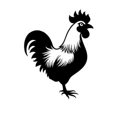 rooster isolated on white