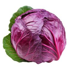 Obraz premium Fresh red cabbage with lush green leaf against a clean transparent background showcasing its vibrant color and texture, Red cabbage with leaf on transparent background