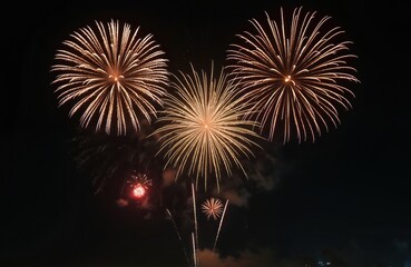 Spectacular fireworks display explodes in night sky. Bright bursts, festive celebration during Independence Day. Vibrant colors illuminate dark backdrop creating visual interest. Explosions create