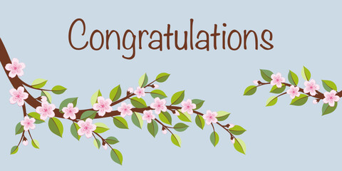 Congratulations - Schriftzug in englischer Sprache - Glückwunsch. Karte mit Kirschblütenzweigen