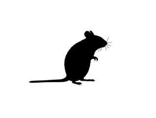 A mouse, captured in simple monochrome style, highlighting its distinctive features and form. 
