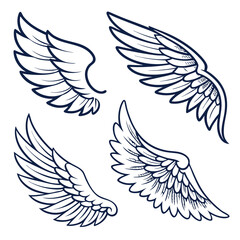 Four Detailed Line Art Drawings of Bird Wings
